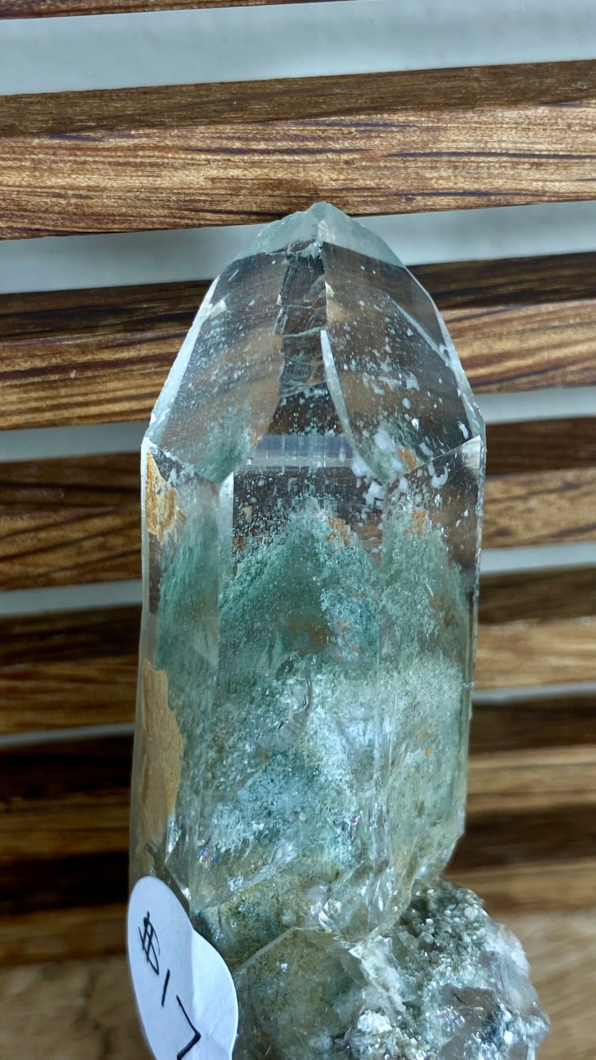 Pakistan Chlorite Phantom Quartz — Natural Green Chlorite Inclusions