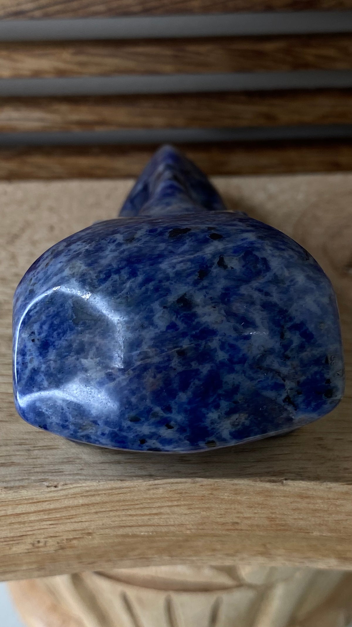 Sodalite Raven Skull
