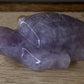 Mexican Amethyst + Agate Turtle