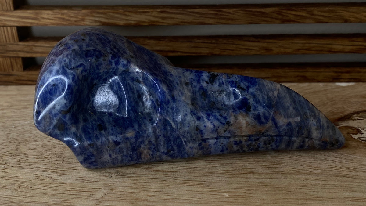 Sodalite Raven Skull