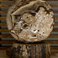 Chocolate Calcite Sphere 83mm/4”diameter