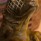Golden Tiger Eye Lizard