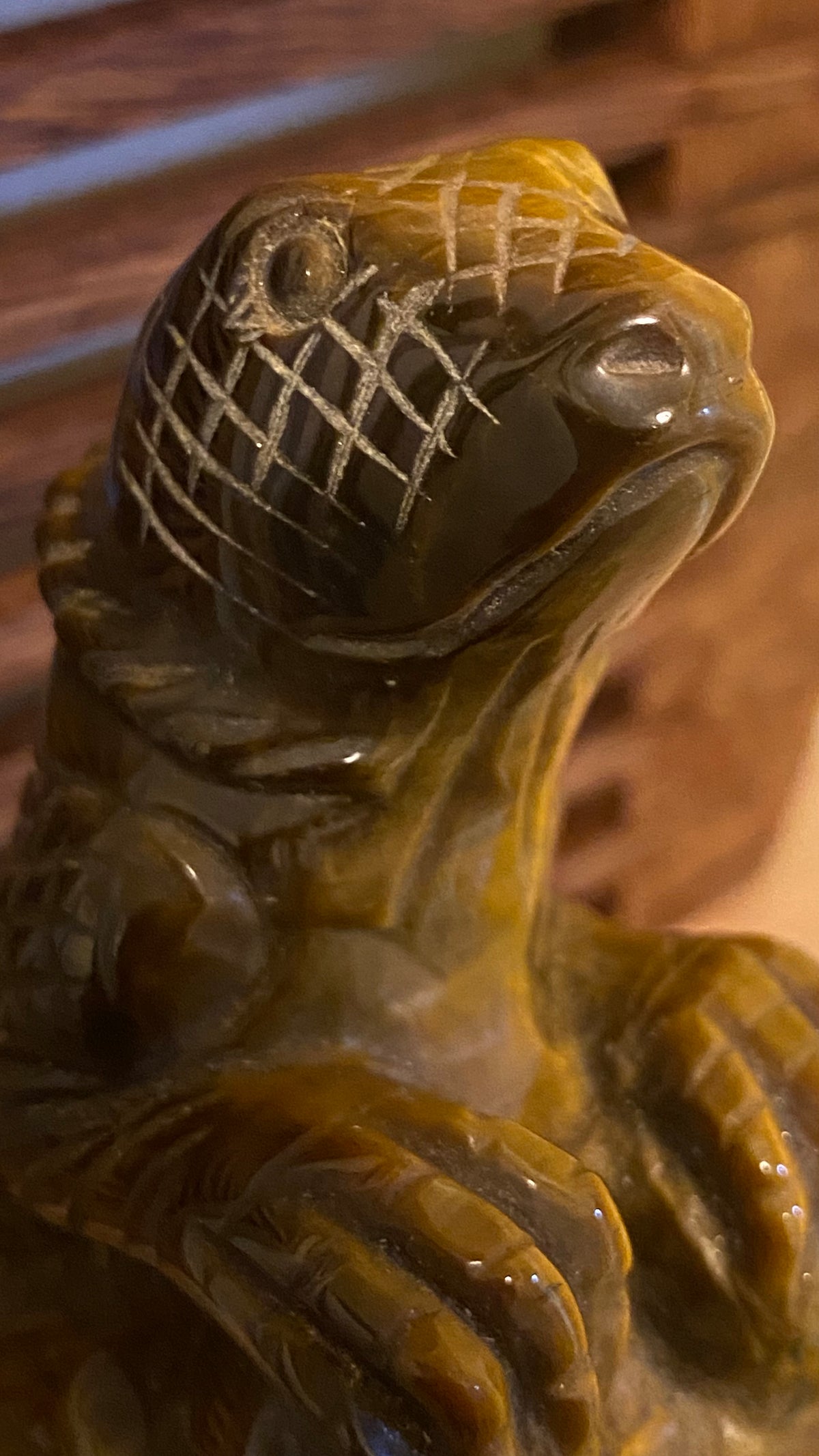 Golden Tiger Eye Lizard