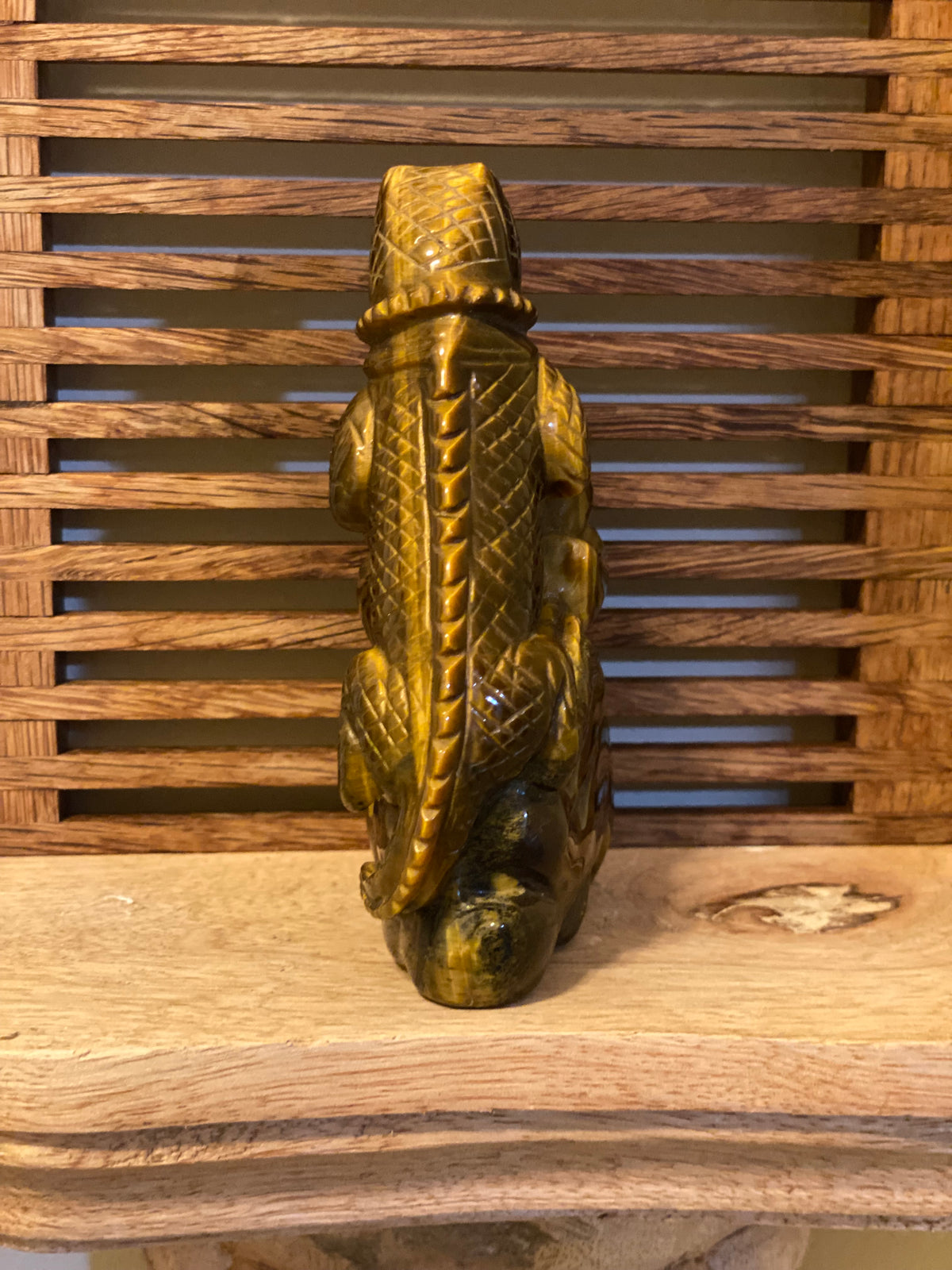 Golden Tiger Eye Lizard