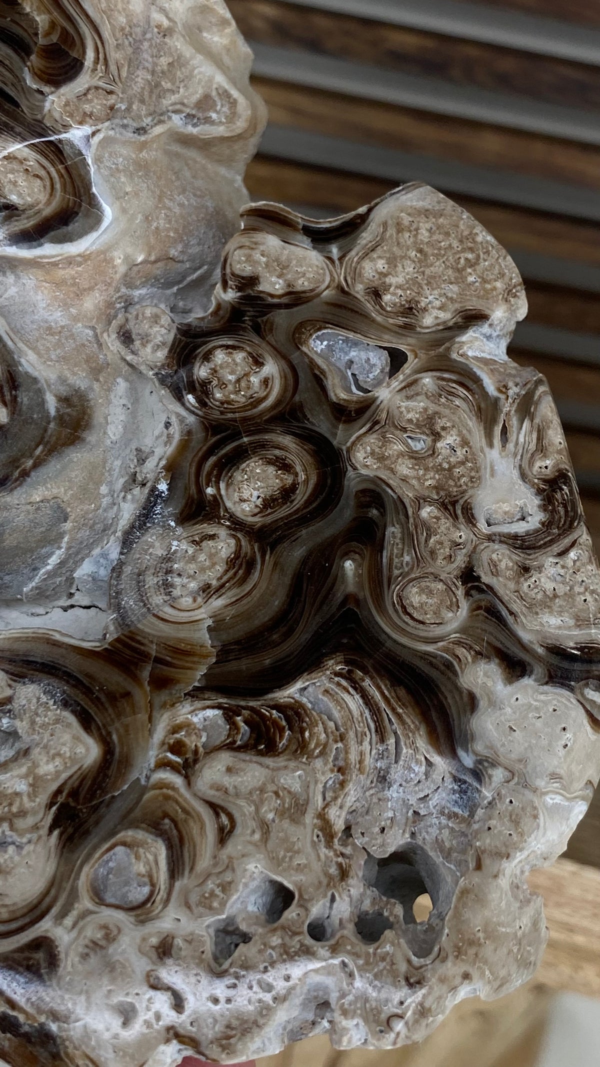 Chocolate Calcite Freeform