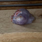 Mexican Amethyst + Agate Turtle