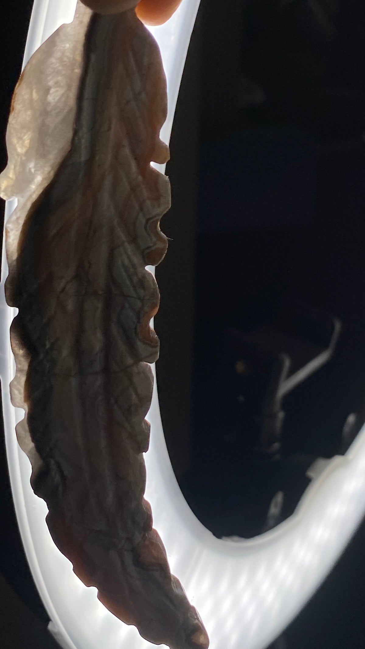 Mexican Amethyst + Agate Feather