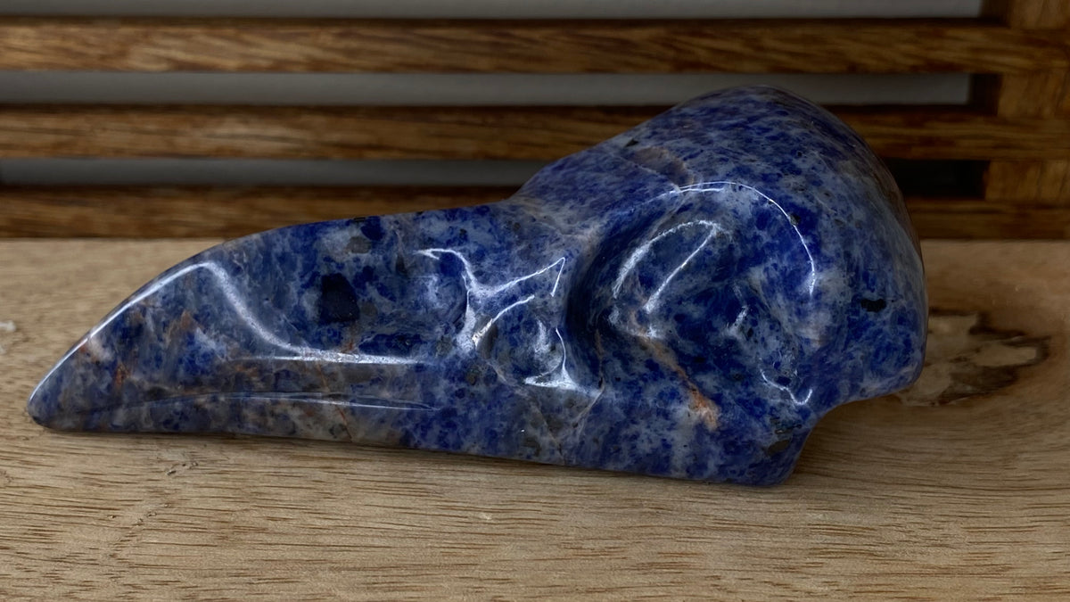 Sodalite Raven Skull
