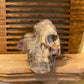 Amethyst Skull w/Feathers