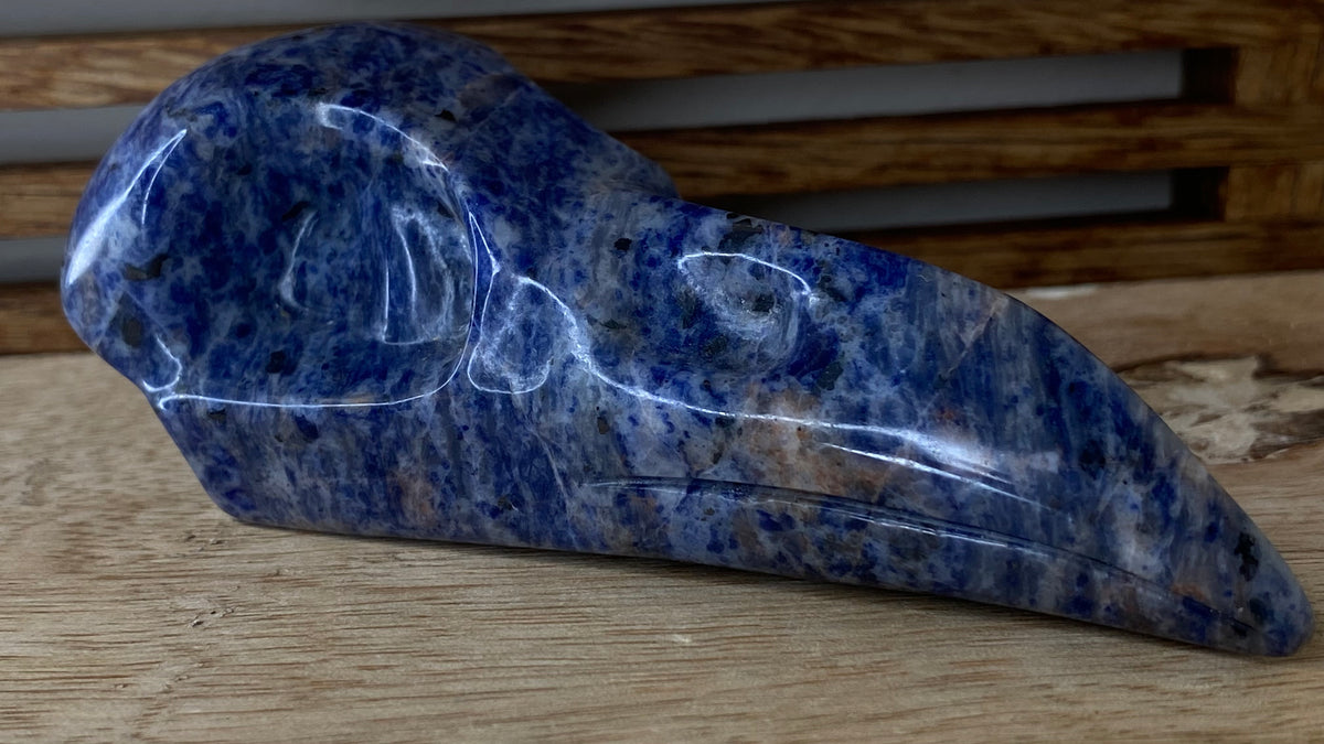 Sodalite Raven Skull