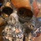Maligano Winged Skull