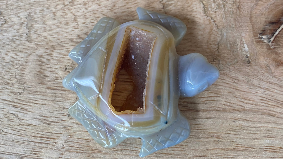 Agate w/Druzy Turtle