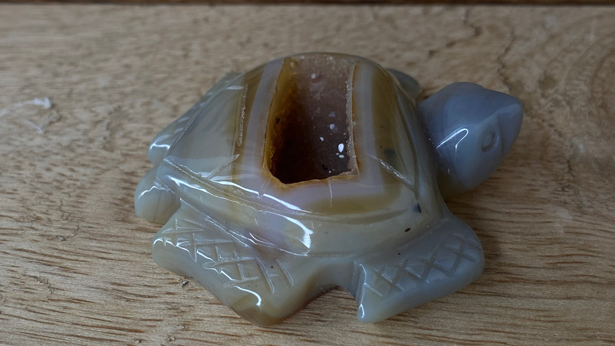 Agate w/Druzy Turtle