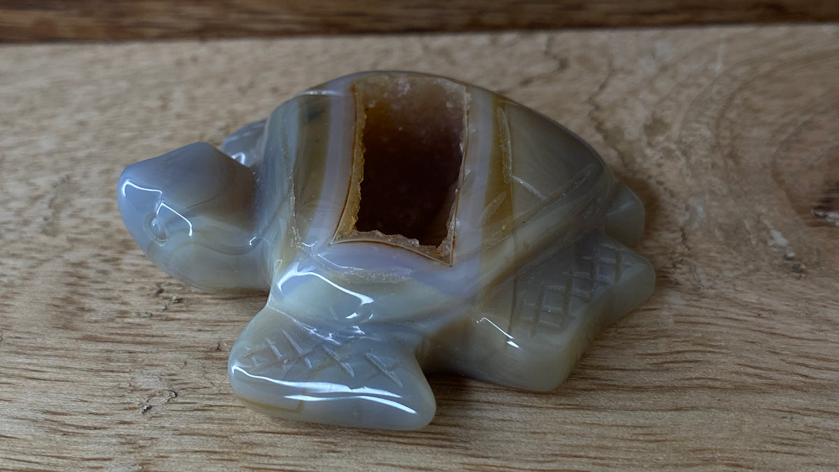 Agate w/Druzy Turtle