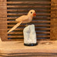 Sweet Orange Calcite Parrot