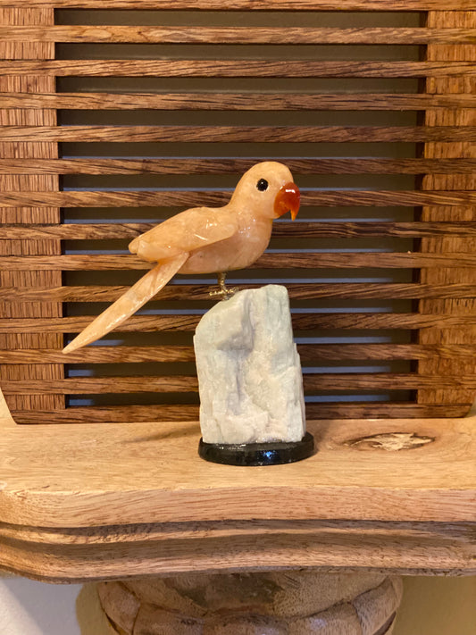 Sweet Orange Calcite Parrot