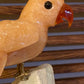 Sweet Orange Calcite Parrot