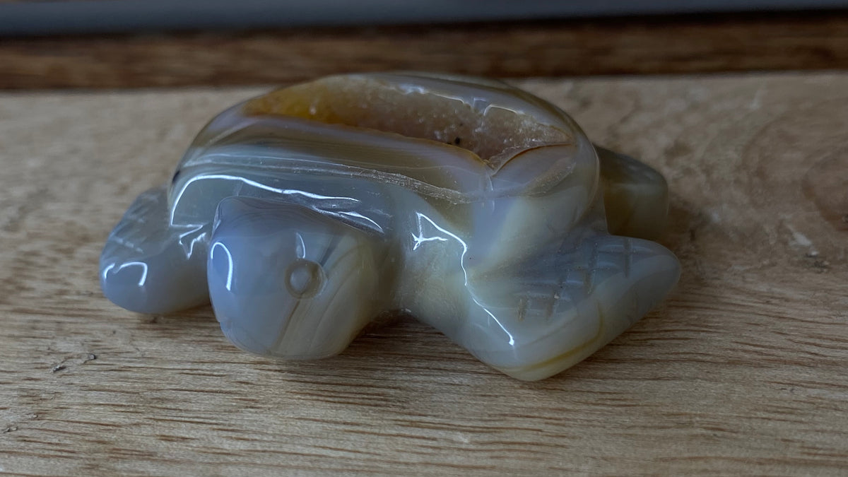 Agate w/Druzy Turtle