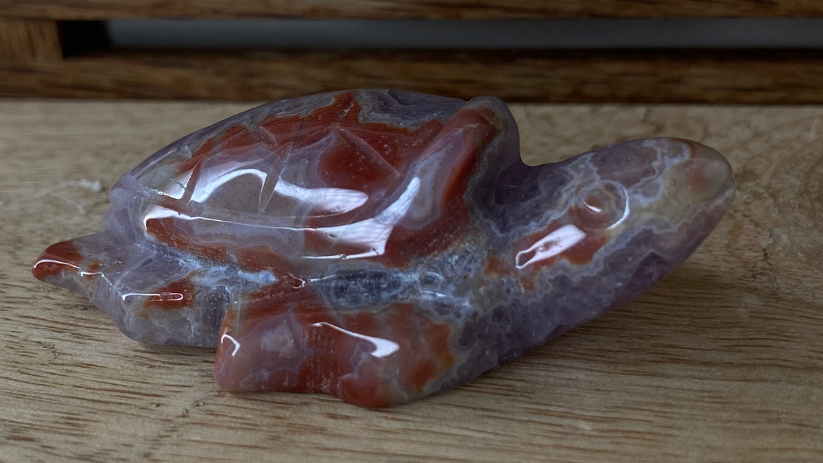 Mexican Amethyst + Agate Turtle