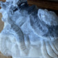 Taiji Jade Dragon Turtle w/Snake