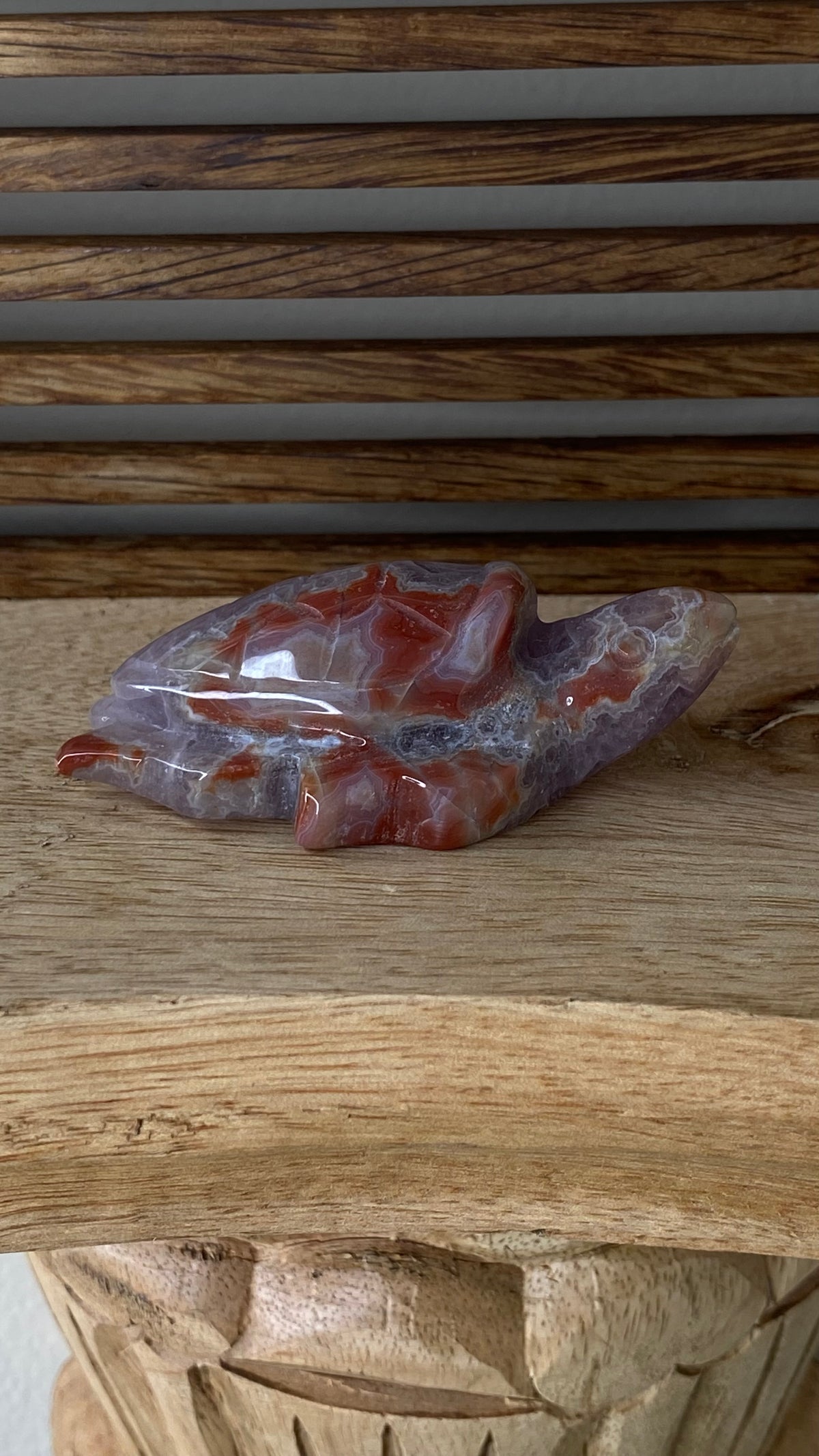 Mexican Amethyst + Agate Turtle