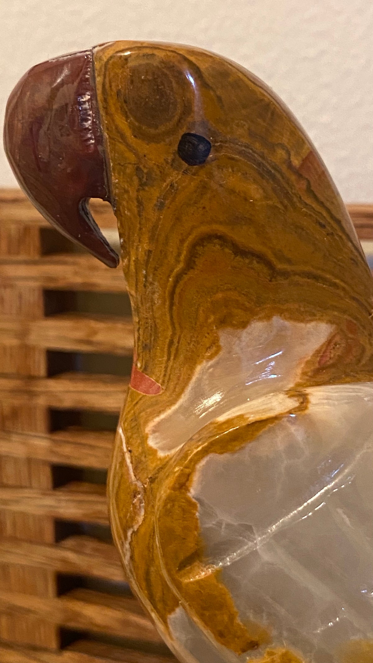 “Onyx” Parrot