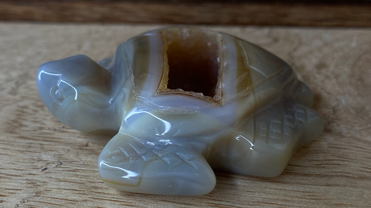Agate w/Druzy Turtle