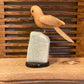 Sweet Orange Calcite Parrot