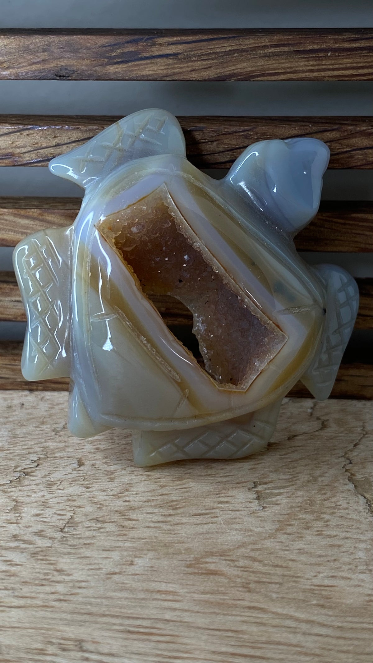 Agate w/Druzy Turtle